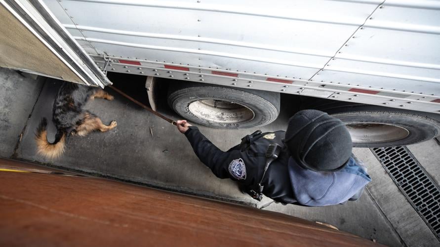 Mariposa POE, 2023 (LE)