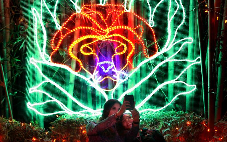 Zoo Lights