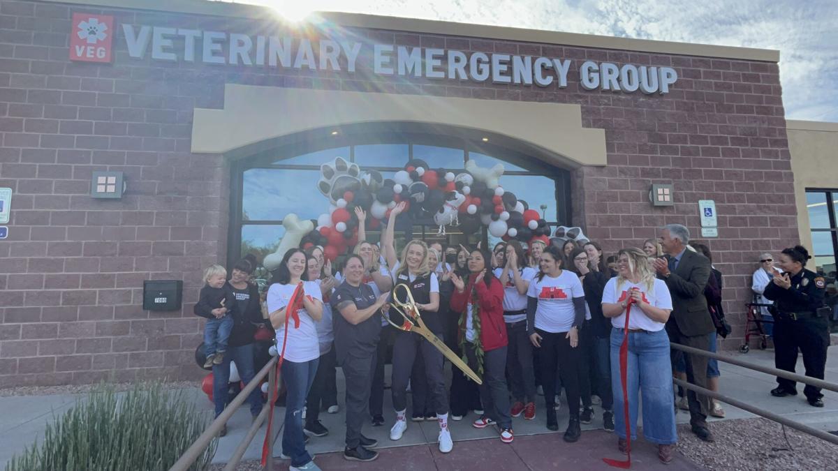 Veterinary Emergency Group