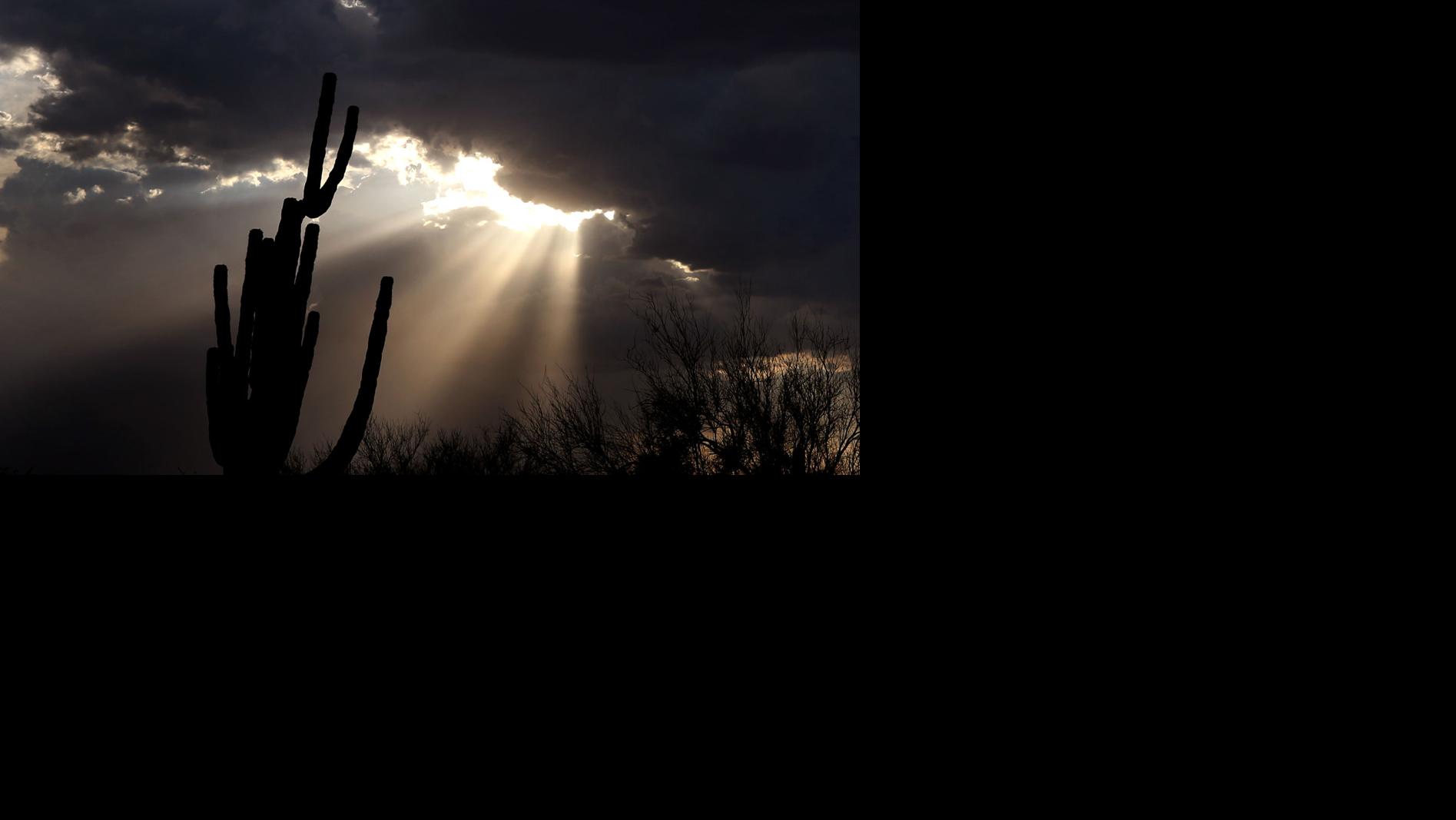 39 photos of intense Tucson monsoon storms Tucson Summer Guide