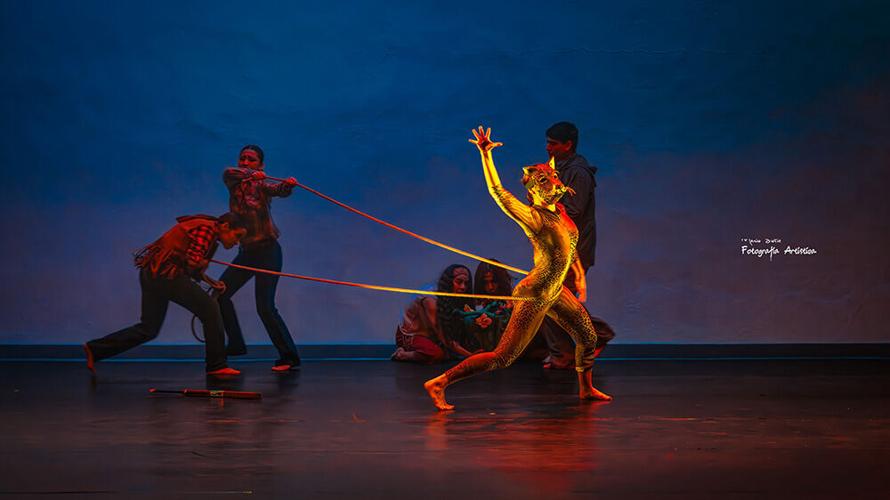 ‘Lost Roots’: A Sky Islands-Inspired Choreography