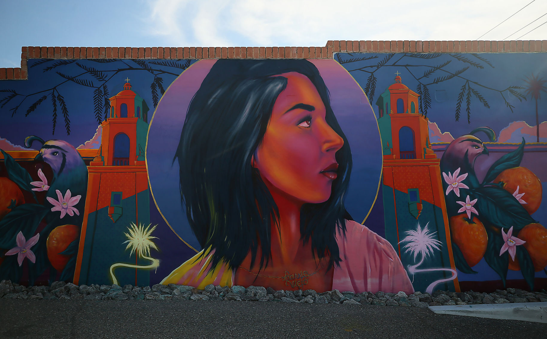 Artistic and quirky A walking tour of Barrio Viejo in Tucson