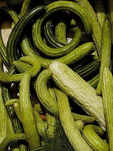 Fridge storage tips: fruits, veggies  