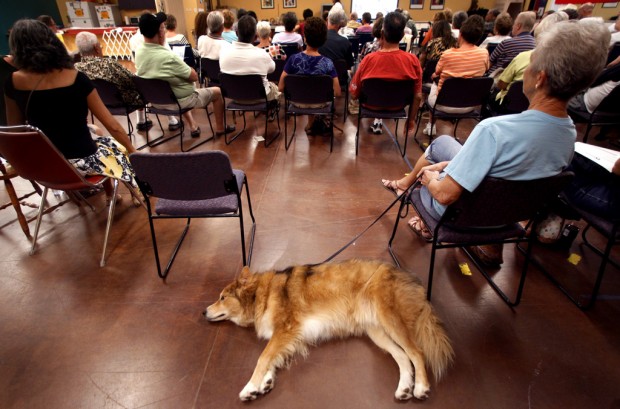 Canine (and human) volunteers aim to help children, sick, aging    