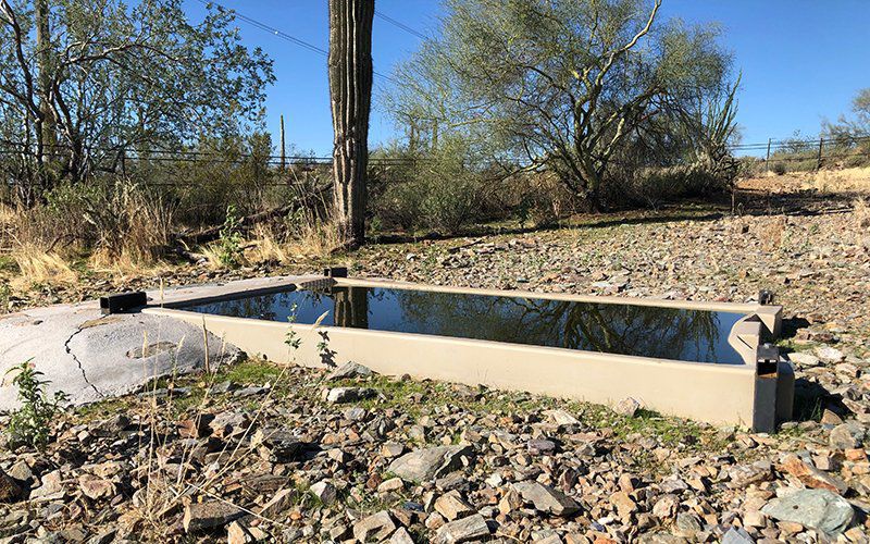 Water for wildlife: Catchments prove lifesavers across Arizona