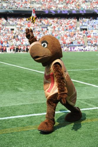 Testudo