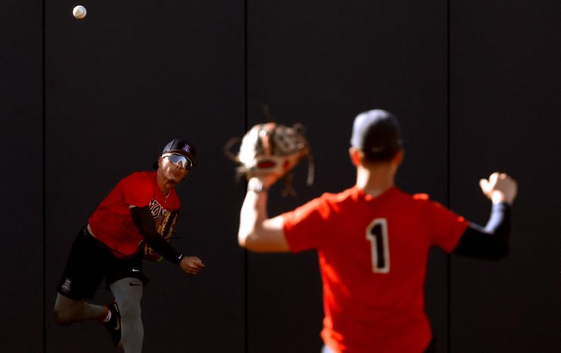 University of Arizona baseball