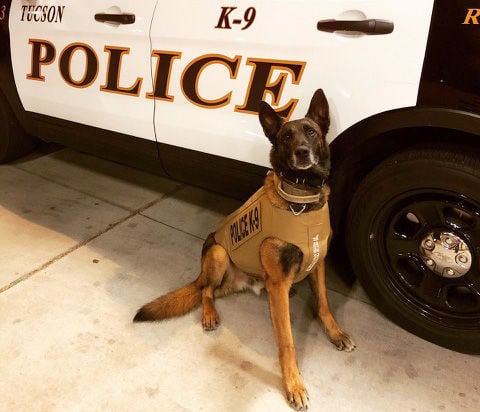 Police department names K-9 after former Wildcat