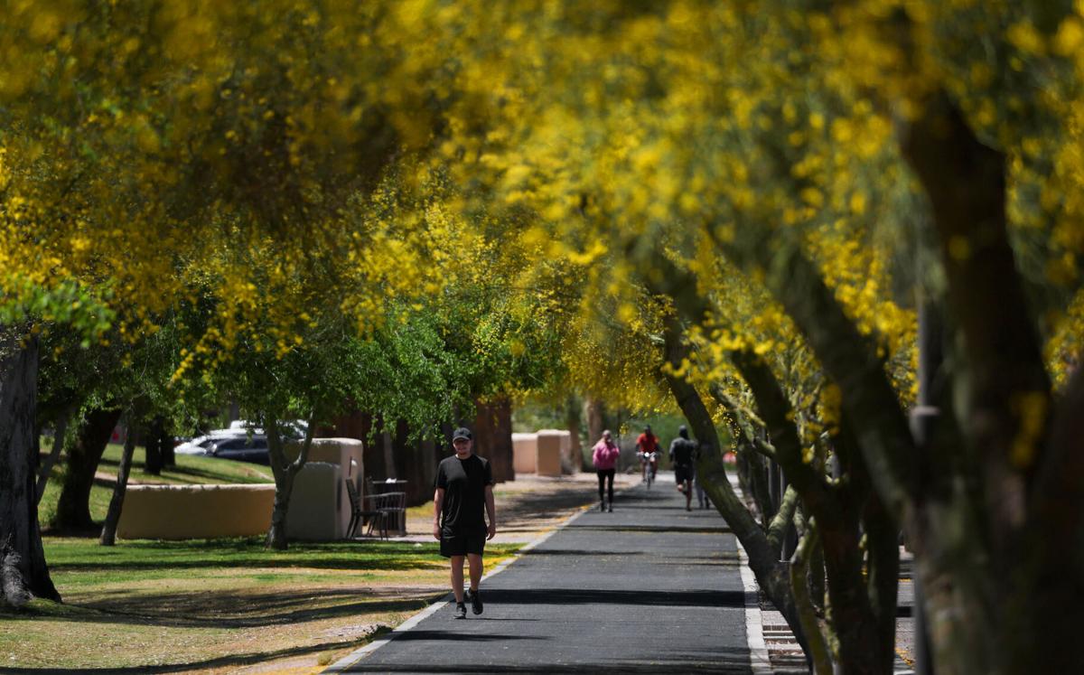 Tucson weather: About 90 degrees all week