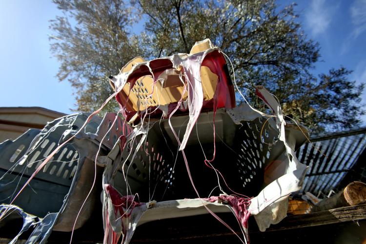 Wildlife sanctuary rebuilds