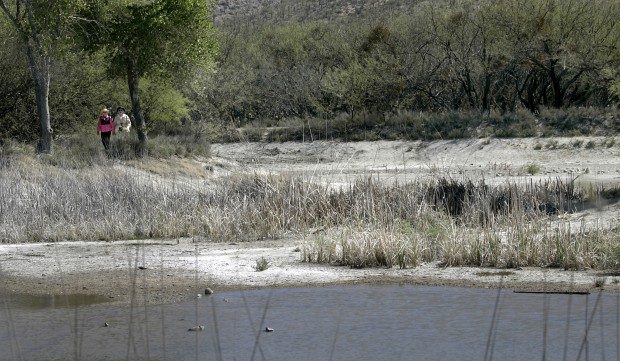 Drought plus low spring flow take toll at Agua Caliente Park    
