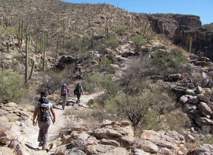 Trails on the eastern slopes of the Santa Catalina Mountains