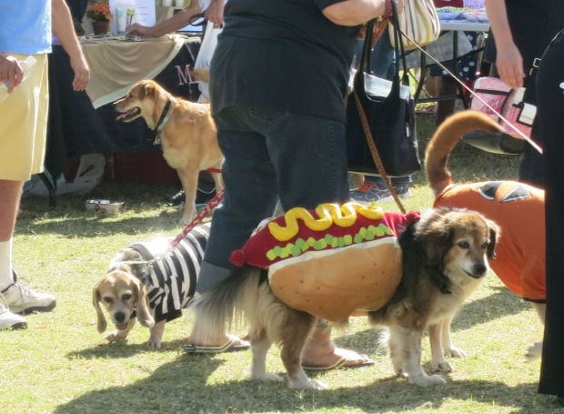 Dogtoberfest