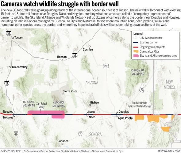 Tracking wildlife on the international border