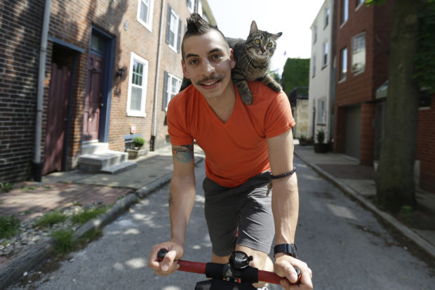 Animal shots of the week