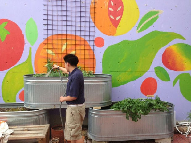 Gardening programs sprout at area schools    