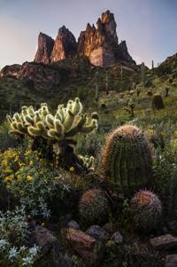 Teen nature photographers sought for annual Arizona contest