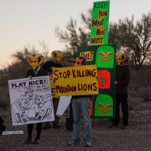 Friends of Wild Animals protest