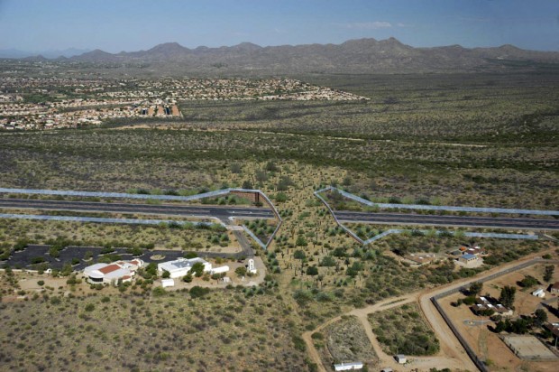 $8.2M Oracle Rd. wildlife paths OK'd  