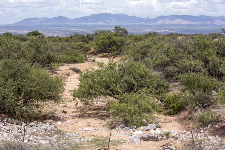 Feds sued over consultation on housing project near San Pedro River