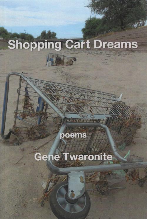 Shopping Cart Dreams