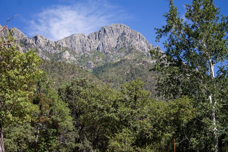 Madera Canyon Mount Wrightston