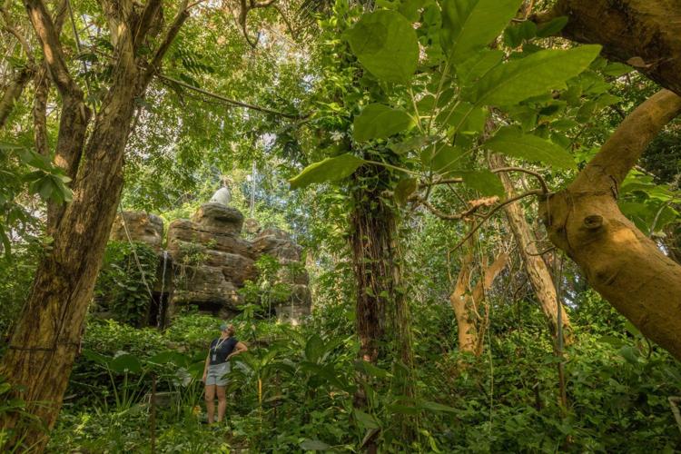 Biosphere 2 study: Tropical forests might be more resilient to rising temperatures than expected