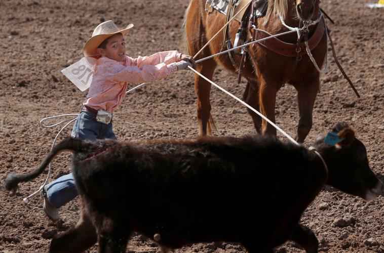 Tucson Rodeo - Calf roping