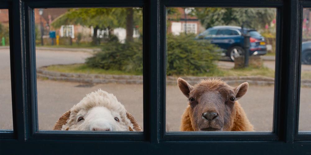 ENTER-SHEEP-DETECTIVES-MOVIE-REVIEW-FILEPIC-1-MCT