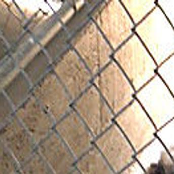 Tucson-area 'pet resort' owner facing charges after dog death | Local news  | tucson.com