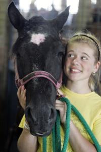 Photos: Our love for horses