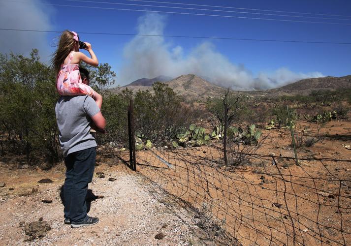 Mulberry Fire
