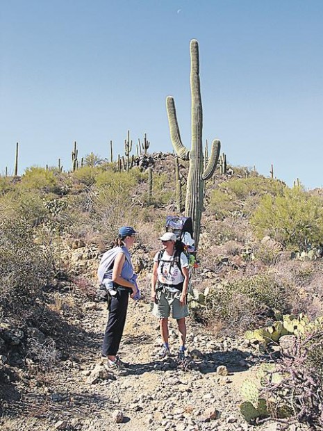 Sweetwater Trail: It can be an easy hike or a workout  