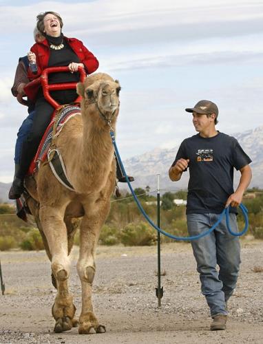 Wise kids say ride atop camel is definitely nothing to spit at   