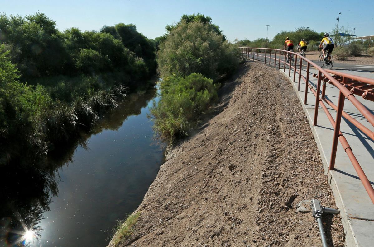 Photos Wildlife Along The Lower Santa Cruz River Photos By Ron