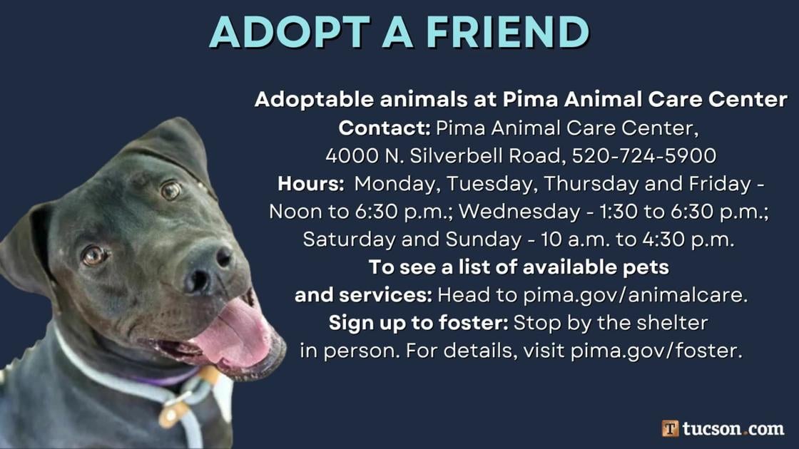 Adopt a friend: Local pets up for adoption for July 26