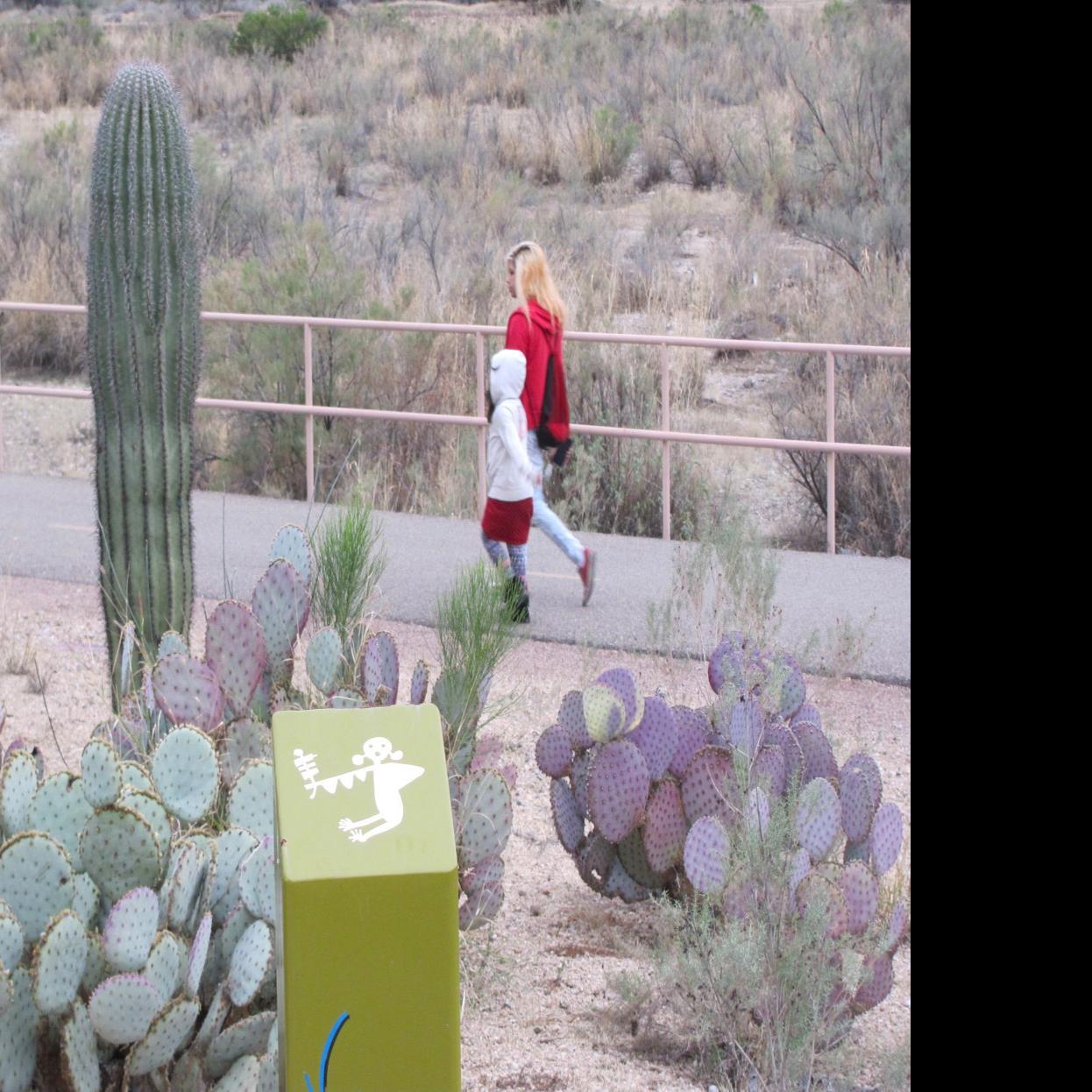 Honor A Loved One With A Tree At Tucson S Gardens Of The Ancient