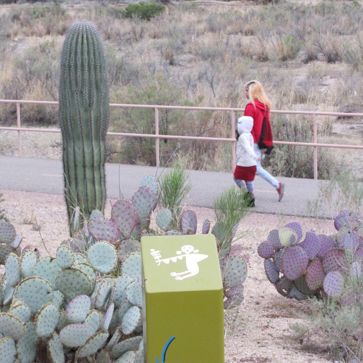 Honor A Loved One With A Tree At Tucson S Gardens Of The Ancient