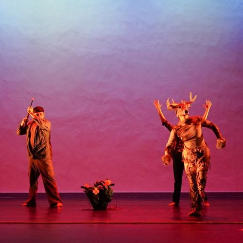 ‘Lost Roots’: A Sky Islands-Inspired Choreography