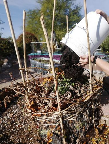 Will coffee grinds go directly on indoor plants?