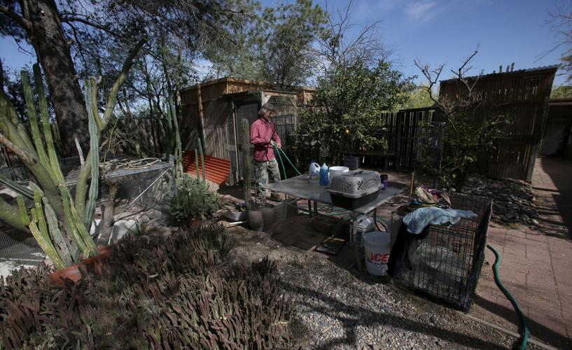 Wildlife sanctuary rebuilds