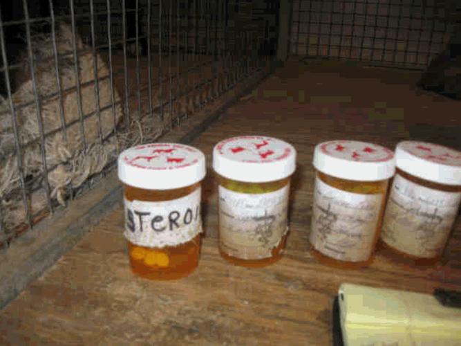 Tucson Greyhound Park