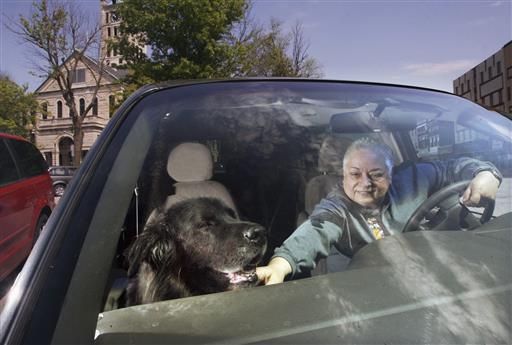 EXCHANGE: Dog named Butkus takes frequent rides with master
