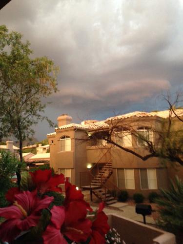 Monsoon photo contest