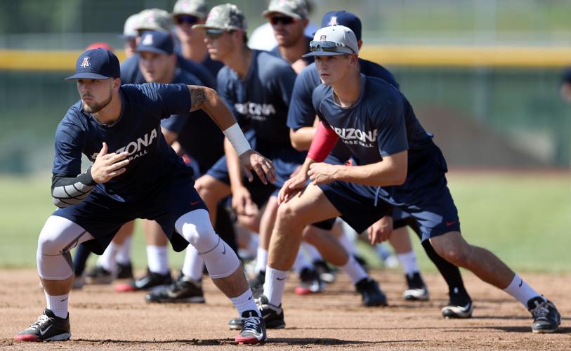 Arizona Wildcats at the College World Series