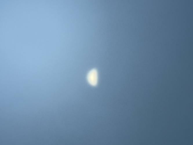 Venus-in-daylight.jpg