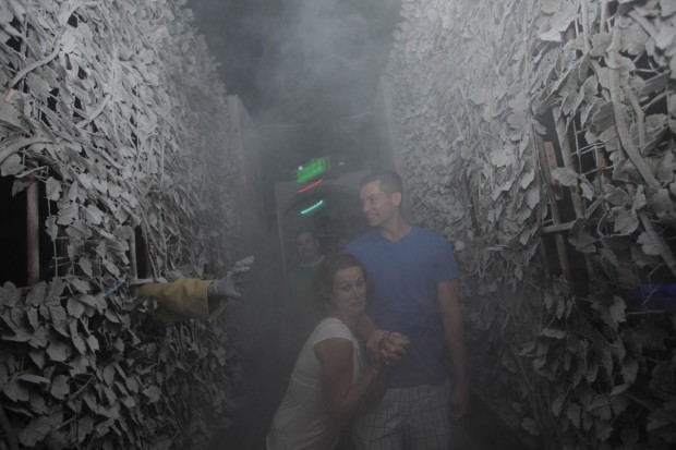 Theme parks turning scary   