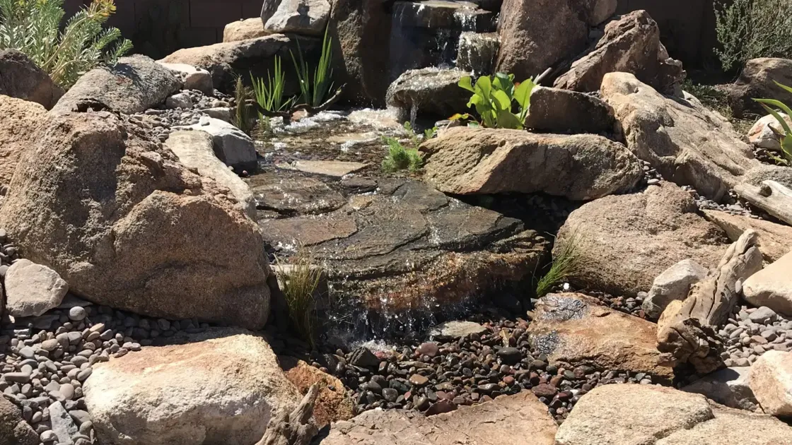 Rosie on the House: Installing a water feature in your yard