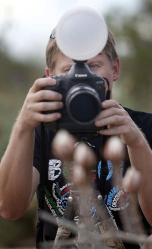 Night-blooming cereus