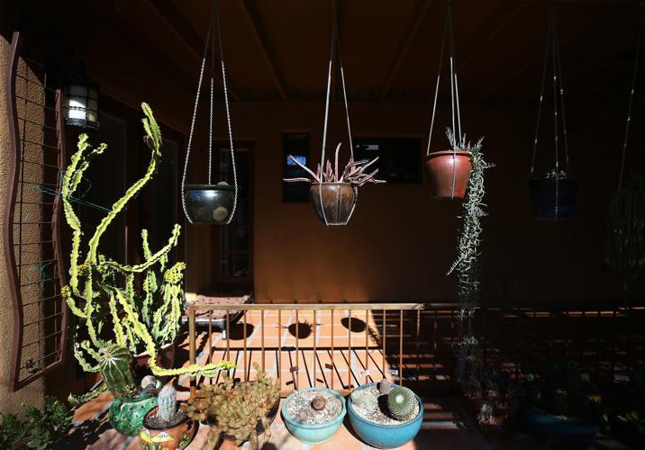 21st Annual Home Garden Tour